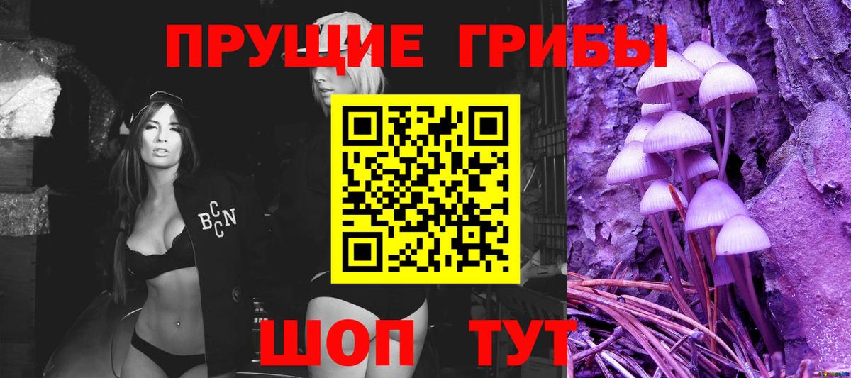 Россия  Псилоцибиновые грибы Psilocybine cubensis  Вход с VPN 